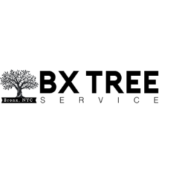 BX Tree Service