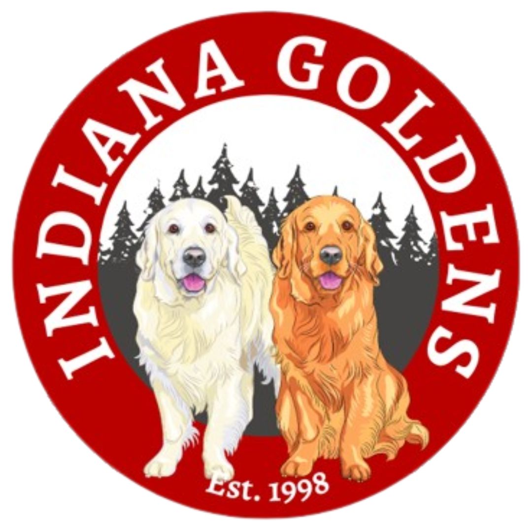 Indiana Goldens