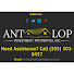 Antlop Miami logo