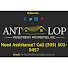 Antlop Miami
