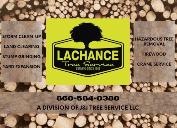LACHANCE TREE SERVICE LLC