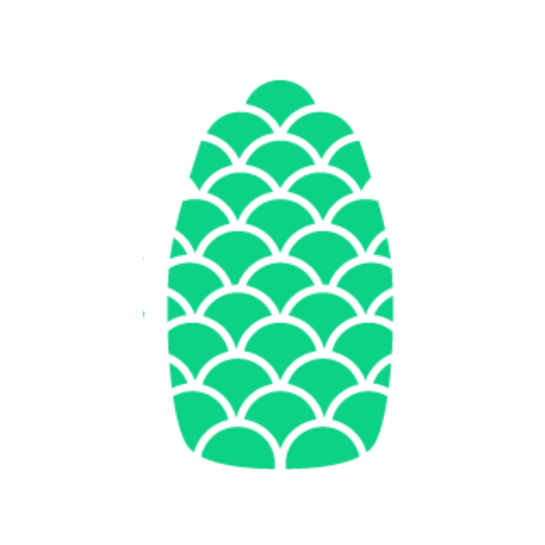 Jack Pine Media | Marketing Agency logo