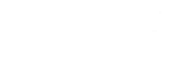 Denstech Home Automation &amp; Smart Door Locks