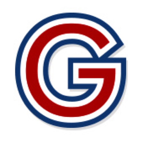Georgia Accident Report