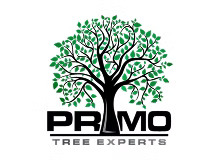 Primo Tree Experts