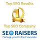 SEORAISERS Top SEO Company in Chandigarh