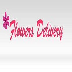 Same Day Flower Delivery Tampa FL