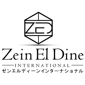 Zein El Dine International Limited Liability CO