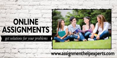 Assignment Help Experts