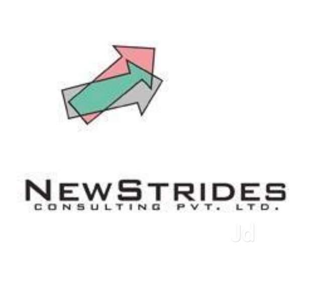 NewStrides Consulting Pvt. Ltd