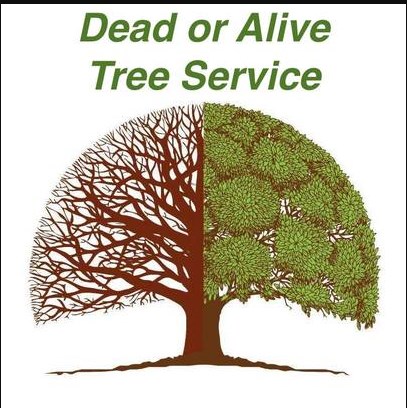 Dead or Alive Tree Service