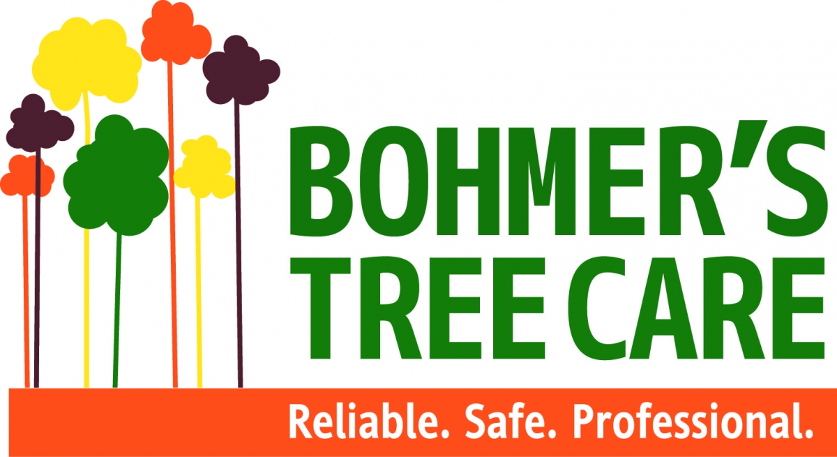 Bohmer's Tree Care