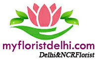 My Florist Delhi