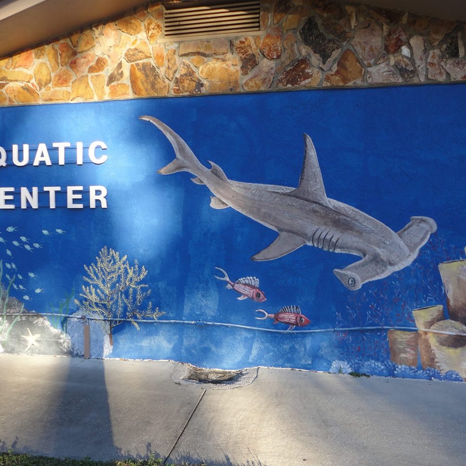 Aquatic Center of Ocala