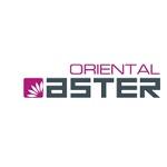 Oriental Aster