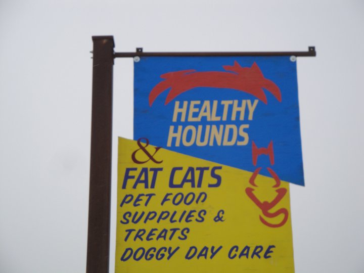 Healthy Hounds and Fat Cats